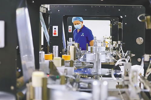 共享定安新機遇，投資興業正當時 專業投資咨詢助力您的成功之路